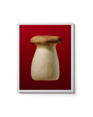 Video Game Mushroom